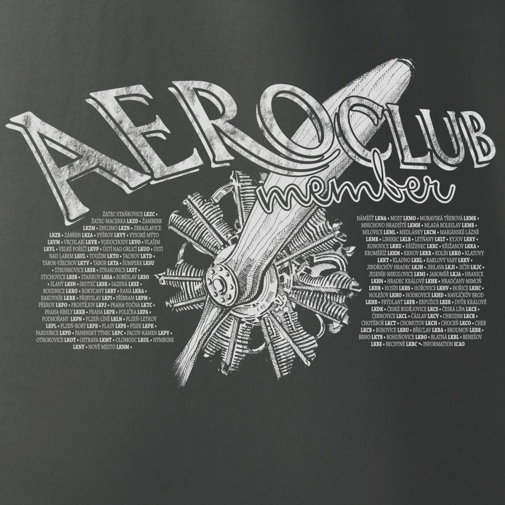 Camiseta AEROCLUB gris azulado de manga corta con motivo