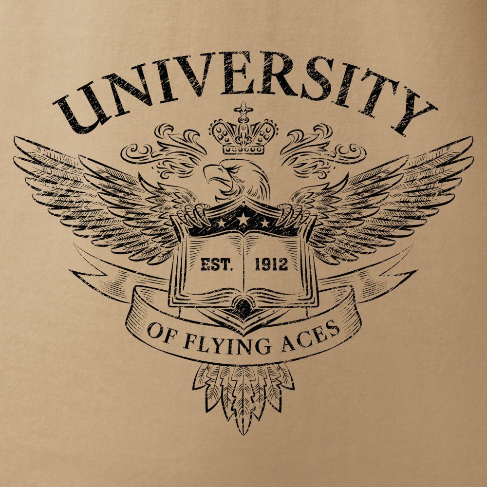 Camiseta con estampado UNIVERSITY leteckých es COYOTE, manga corta