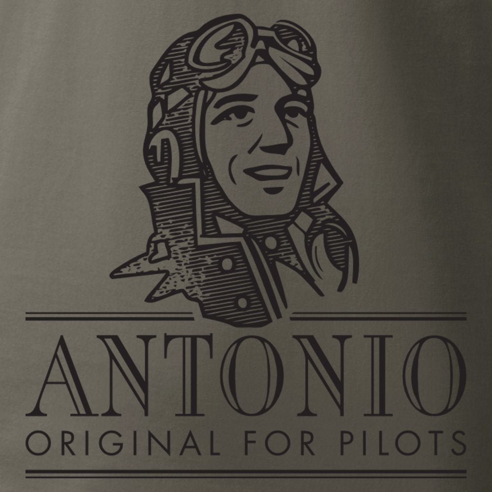 Camiseta con estampado del avión IAR 80 DRACULA en color gris verdoso