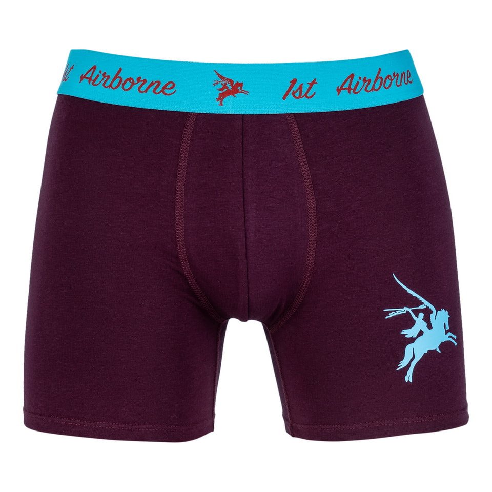 Boxer 1st AIRBORNE PEGASUS con cintura elástica y estampado textil