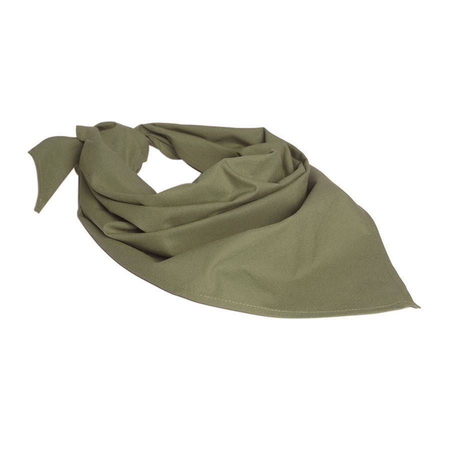 Pañuelo triangular BW verde - imagen del producto