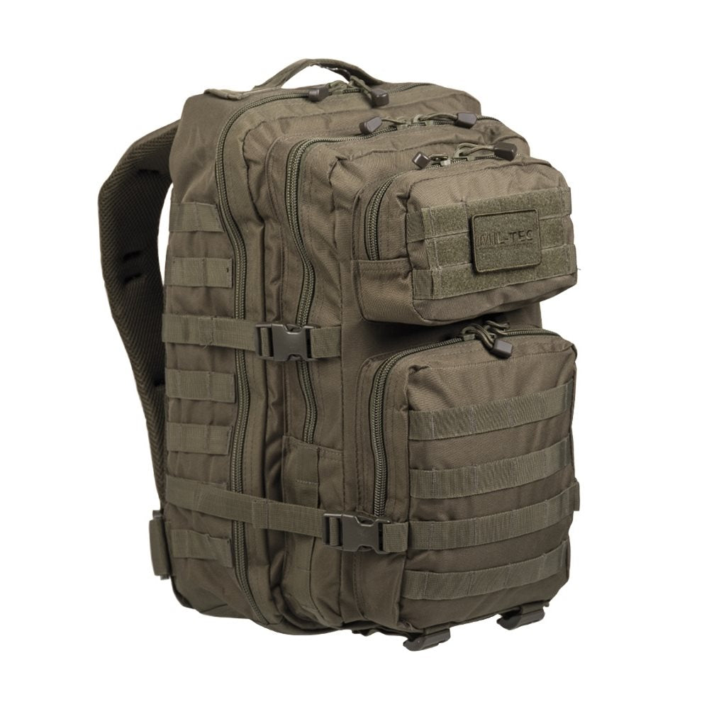 Mochila ASSAULT II en camuflaje CCE TARN, vista general