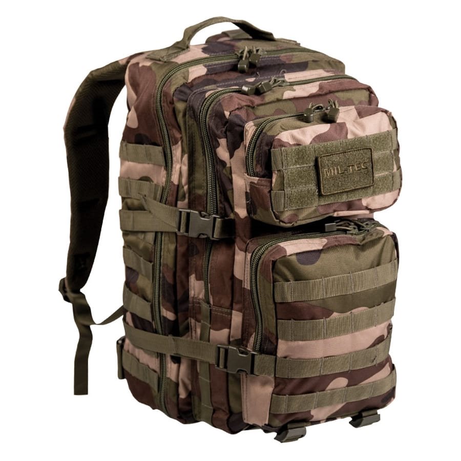 Mochila ASSAULT II en camuflaje CCE TARN, vista general