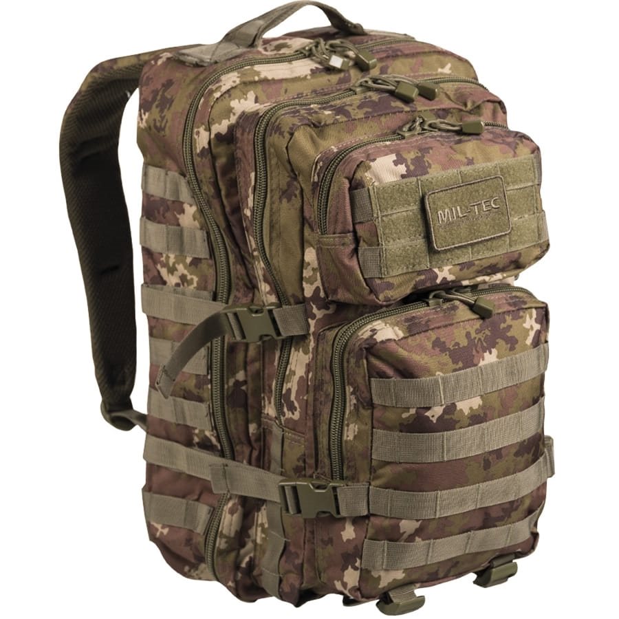 Mochila ASSAULT II en camuflaje CCE TARN, vista general