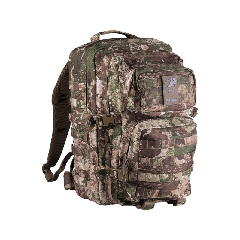 Mochila ASSAULT II en camuflaje CCE TARN, vista general