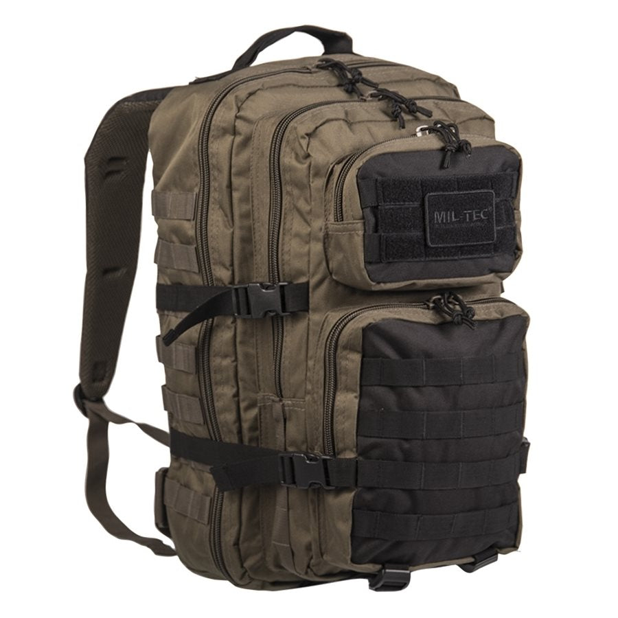 Mochila ASSAULT II en camuflaje CCE TARN, vista general