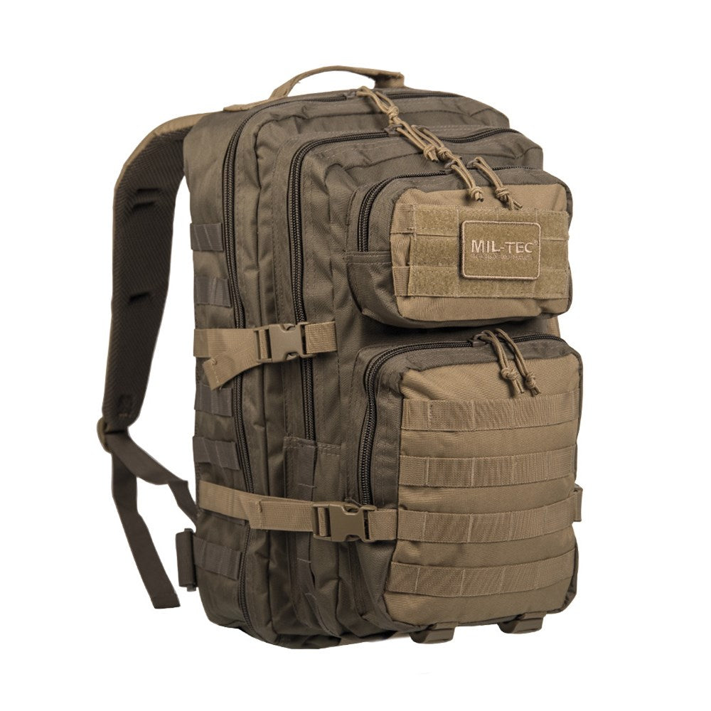 Mochila ASSAULT II en camuflaje CCE TARN, vista general