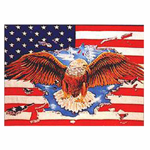Bandera USA EAGLE 150x90 cm con águila y dos ojales metálicos