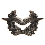 Insignia BW en gorra Luftwaffe, vista frontal