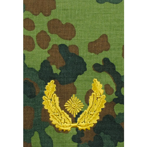 Hombreras BW Brigadier General Flecktarn con bordado dorado (par)