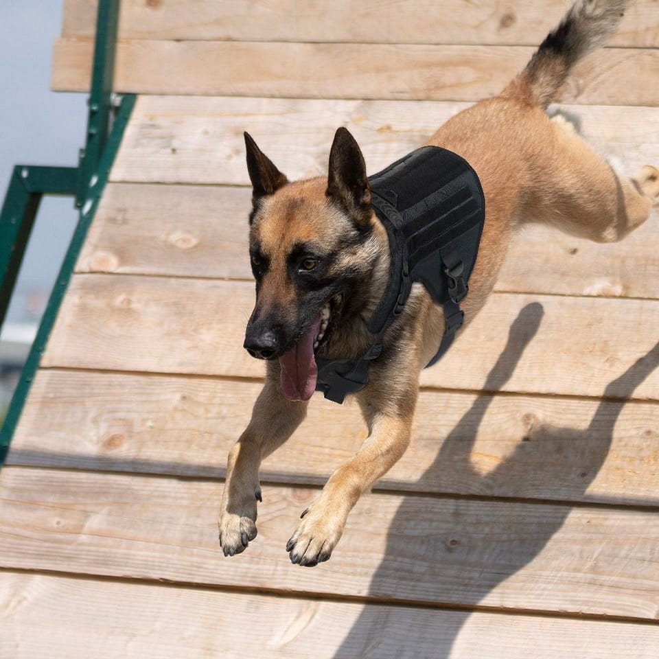 Arnés táctico K9 para perro negro