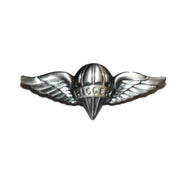 Insignia RIGGER (odznak) para identificacion y coleccionismo