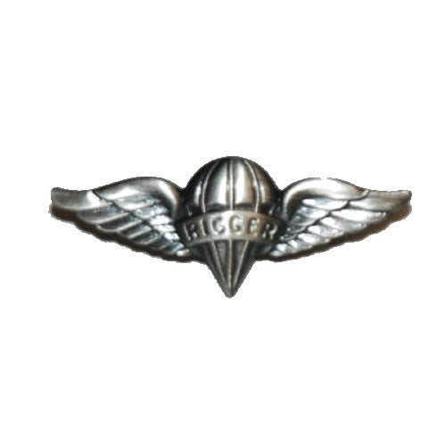 Insignia RIGGER (odznak) para identificacion y coleccionismo