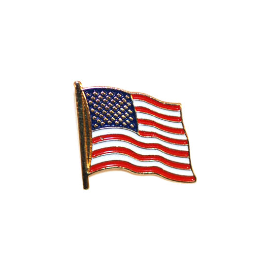 Insignia bandera EE. UU. ondeante