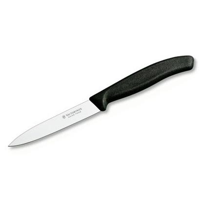 Cuchillo para verduras con hoja 10 cm y mango plástico negro, longitud total 21,2 cm