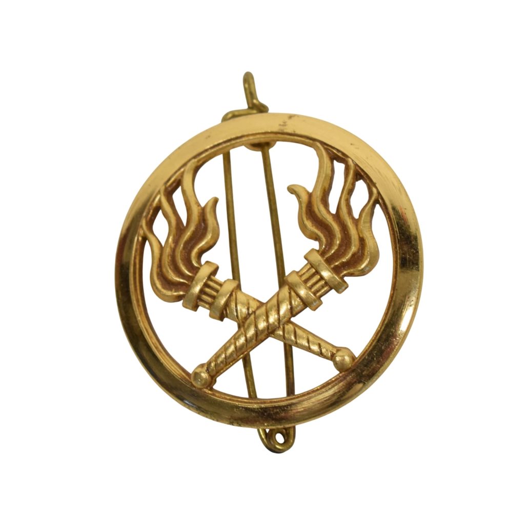 Insignia francesa 'SERVICE DES ESSENCES' - emblema visible