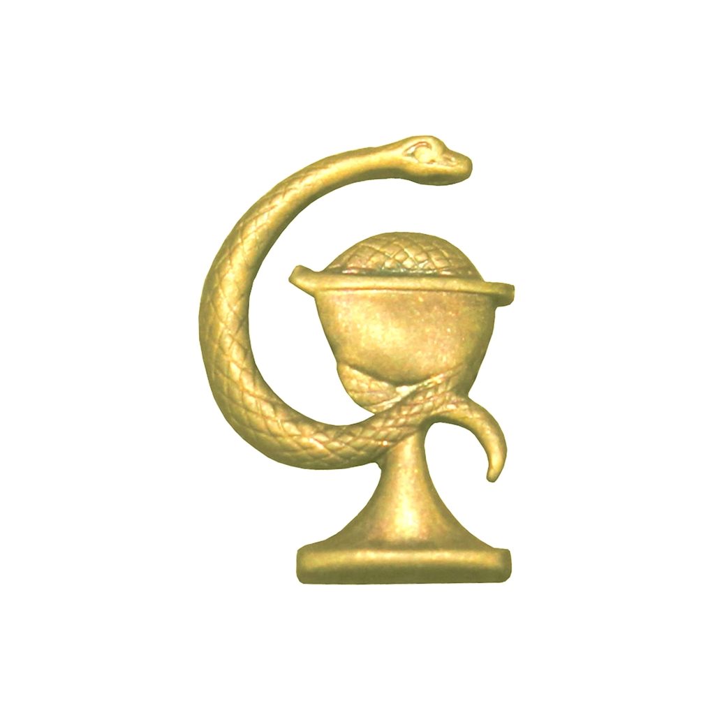 Insignia dorada ZDRAVOTNÍK (ČSLA/AČR)