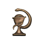 Insignia distintiva ZDRAVOTNÍK bronce ČSLA/AČR