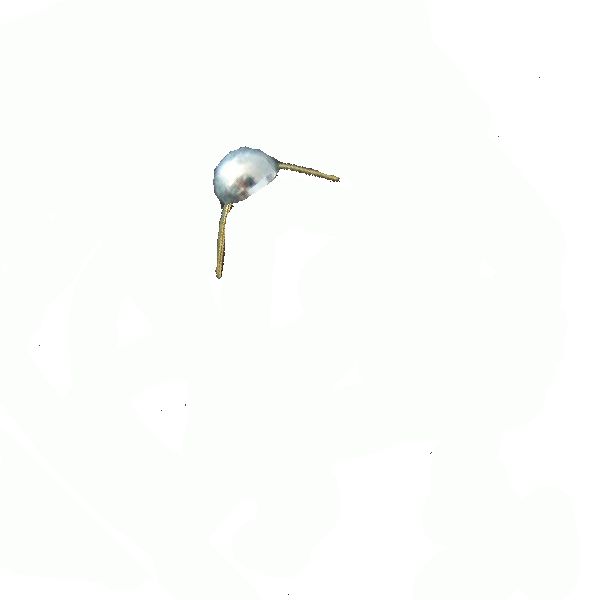 Insignia de grado AČR 'pecka' plata brillante 8 mm