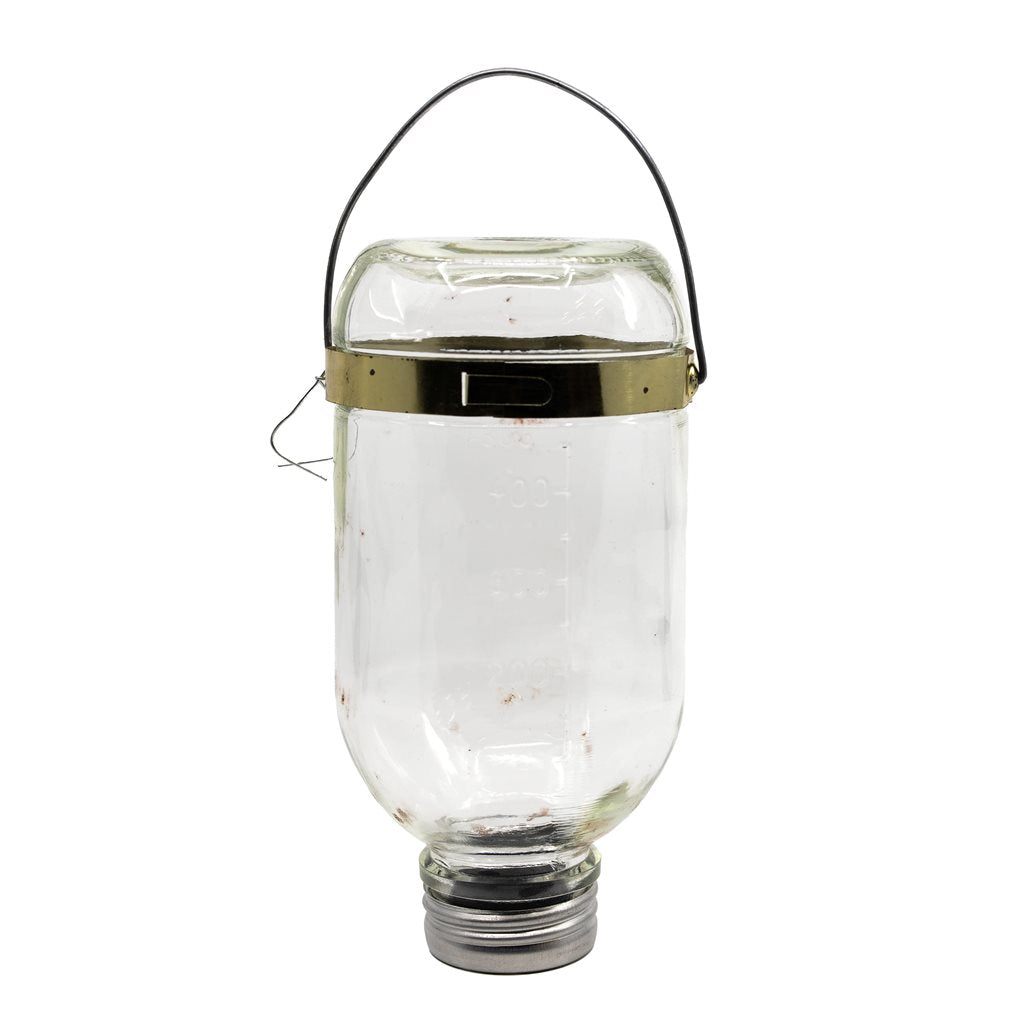 Botella de infusión de vidrio 500 ml con tapón y soporte - Ref. 807500