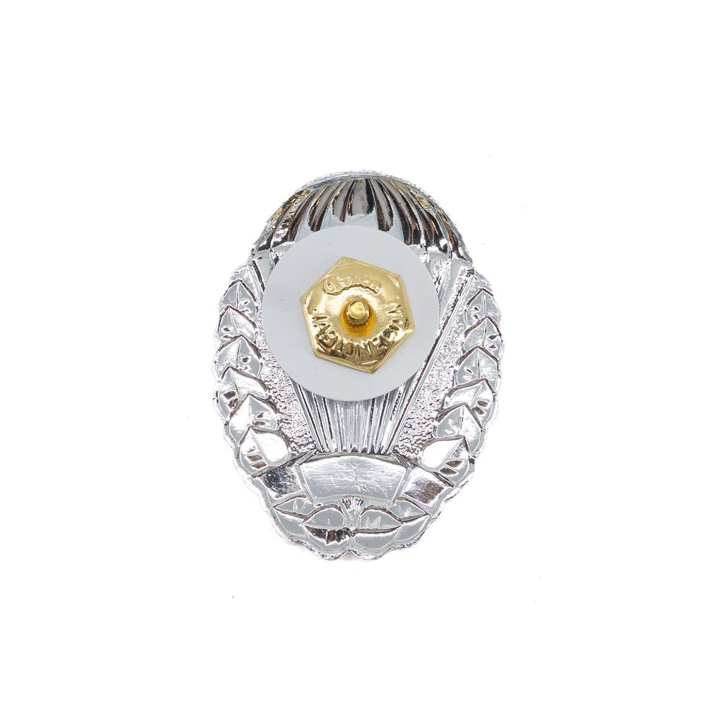 Insignia plateada PARA para paracaidistas del ejército checo (1993-2011), aprox. 50 x 37 mm