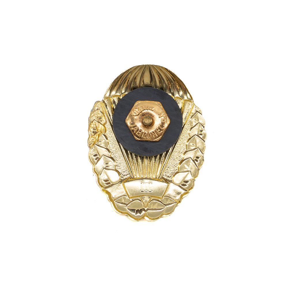 Insignia para paracaidista checo (1993-2011), distintivo dorado grado I, aprox. 50×37 mm