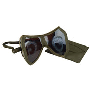 Gafas BW plegables solares y de protección con funda