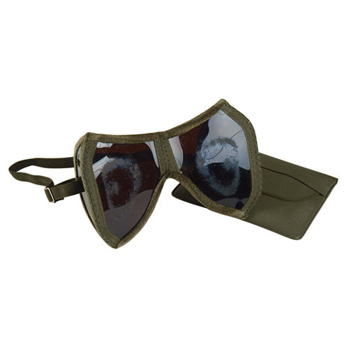 Gafas BW plegables solares y de protección con funda