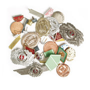Set de 50 insignias NVA - surtido de odznaky (imagen del lote)