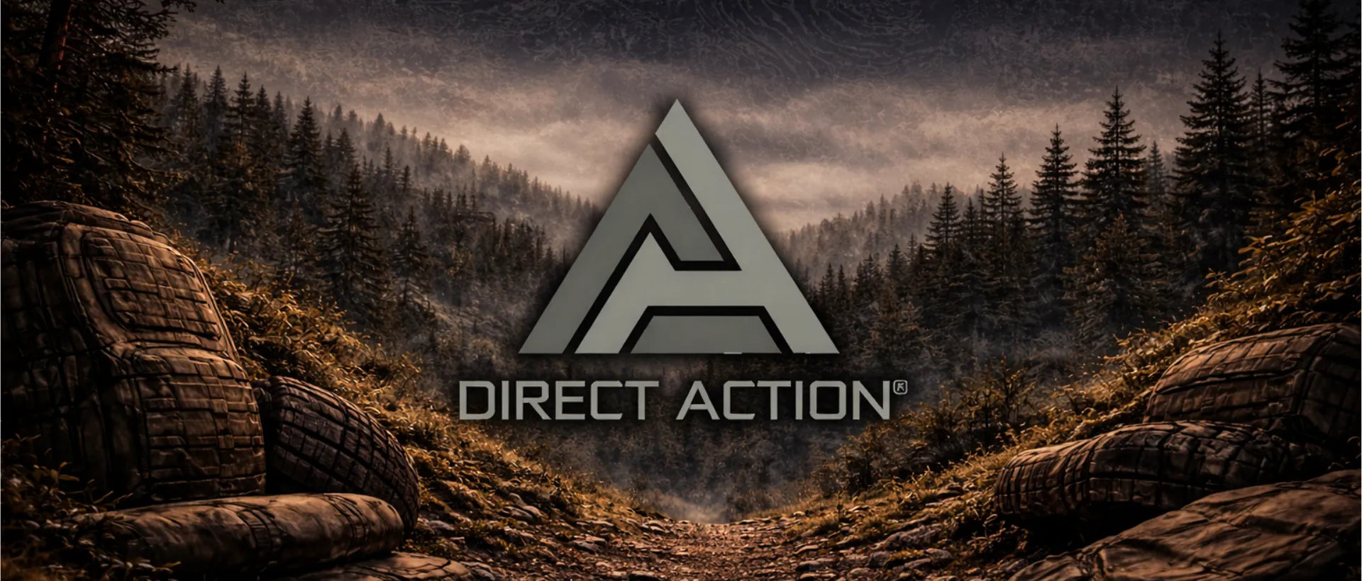 Acción Directa
