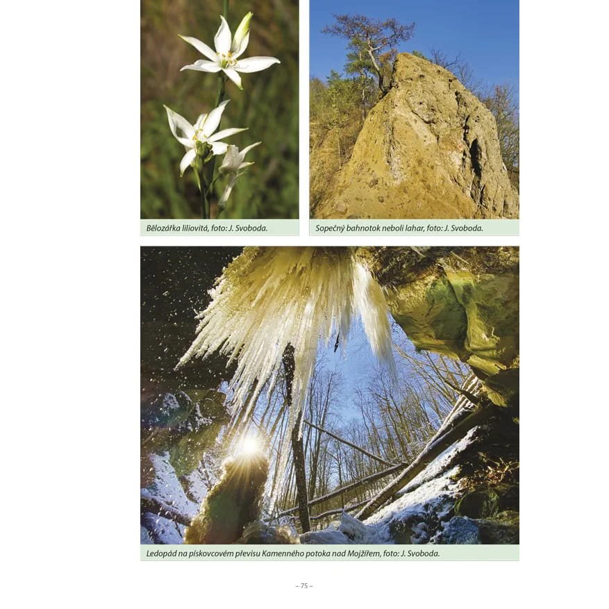 Cubierta del libro 'Tesoro de la naturaleza de České středohoří' — edición 50.º aniversario