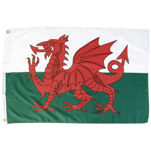 Bandera Welsh Dragon 150x90 cm