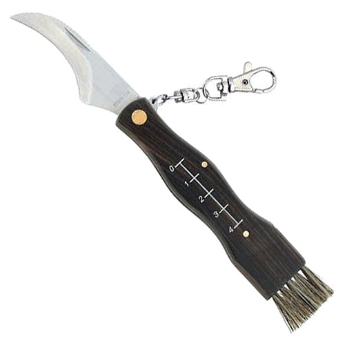 Cuchillo para setas JOKER 32 con hoja inox 7 cm y mango de madera tropical