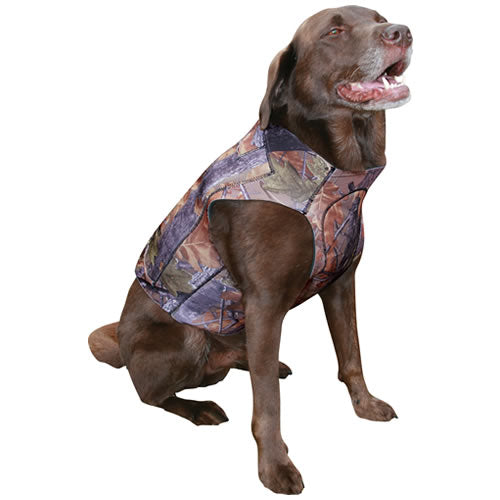 Vesta para perro de neopreno, chaleco para animal