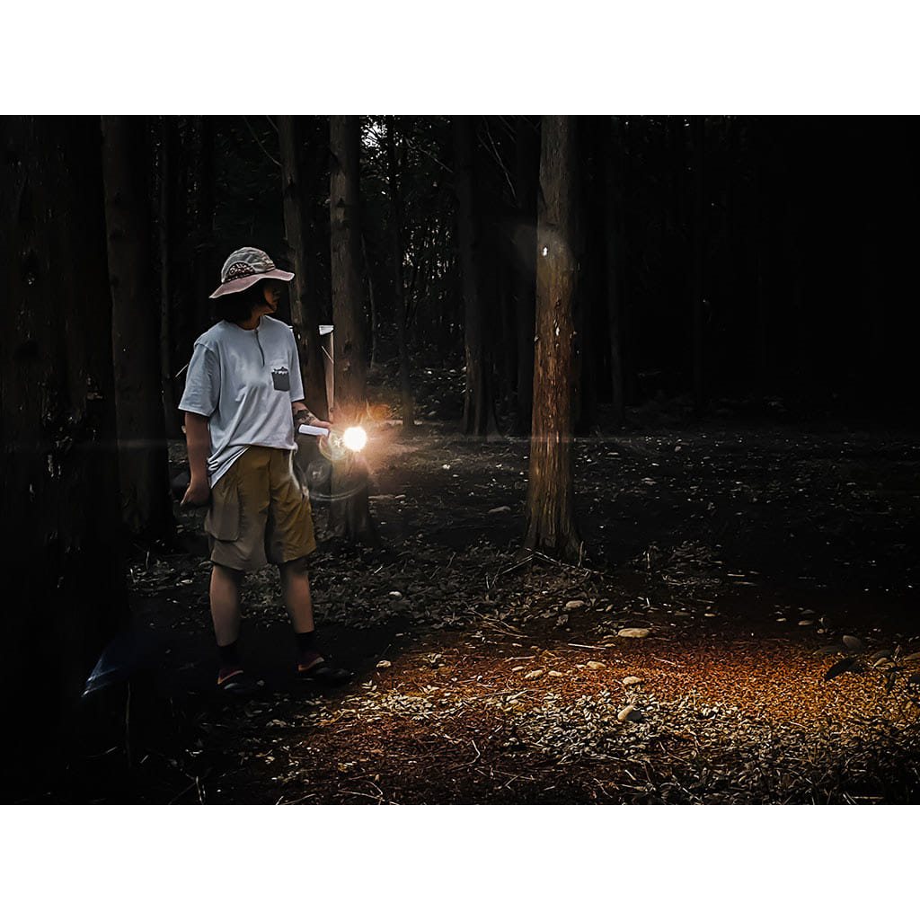 Linterna NexTool Wukong multifuncional para camping y uso exterior
