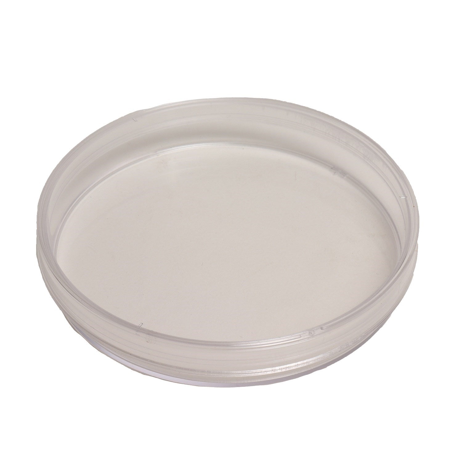 Juego de 10 placas de Petri de vidrio de 10 cm - imagen del producto