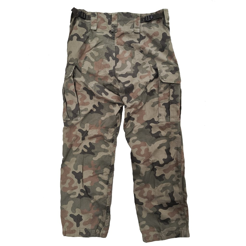Pantalones polacos wz.2010 corte 123 UP-MON rip-stop usados