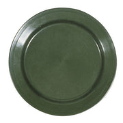 Plato llano verde de polipropileno 26 cm