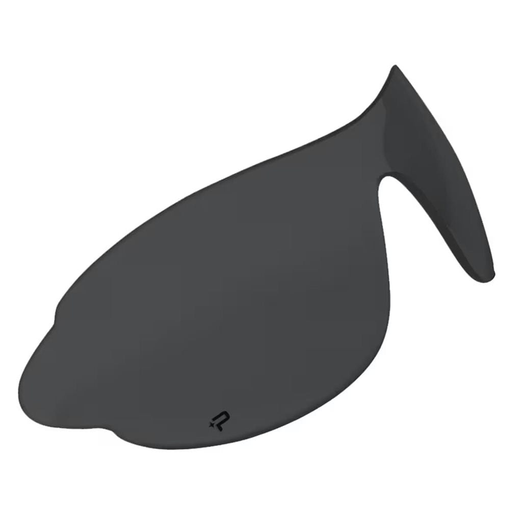 Cristal de repuesto ahumado para gafas RAIDER BOLLE